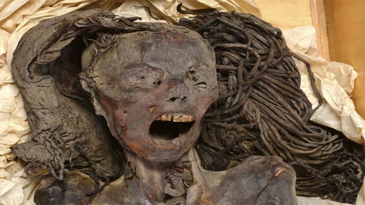 Ancient Egypt's 'screaming' mummy woman may have died in agony