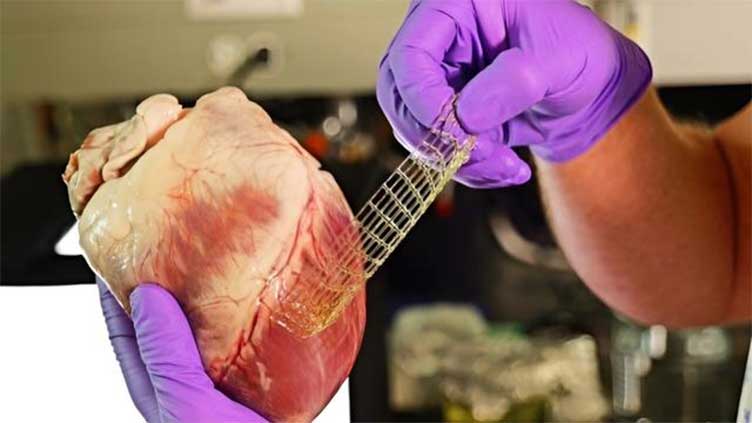 New 3D-printed flexible patch to repair damaged tissues