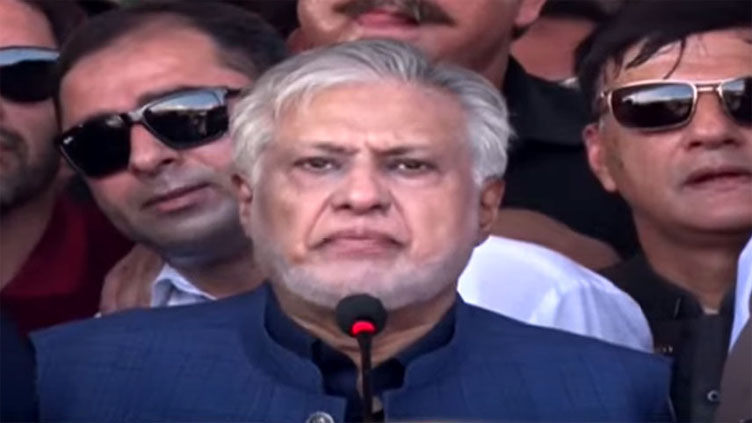 India can't violate Kashmiris' rights by abrogating constitution: Ishaq Dar