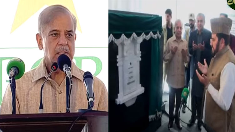 Shehbaz Sharif instructs merit-based selection in Pakistan cricket team