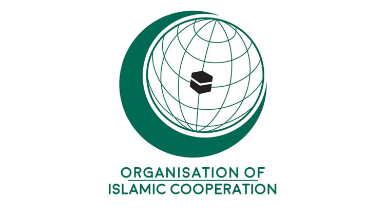 OIC calls for reversal of all Indian illegal measures on or after Aug 5 in IIOJK