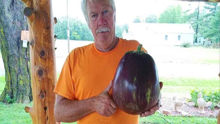 Iowa man harvests massive 8.33-pound eggplant, breaks world record