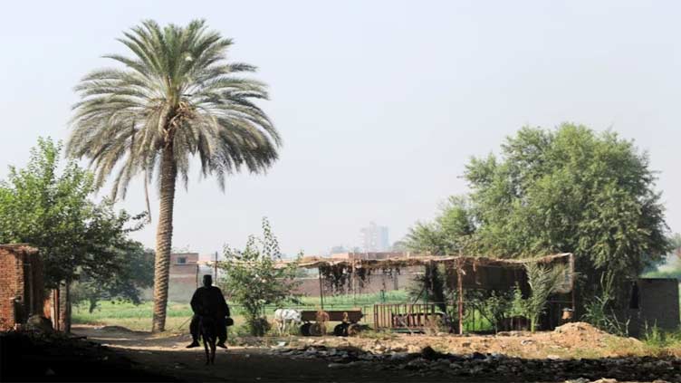 Erosion of Cairo's green space leaves residents exposed to searing heat