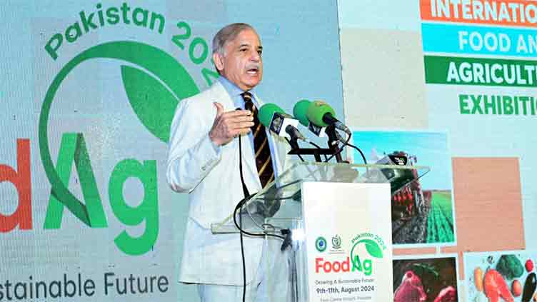 Govt takes steps to uplift agriculture sector: PM Shehbaz