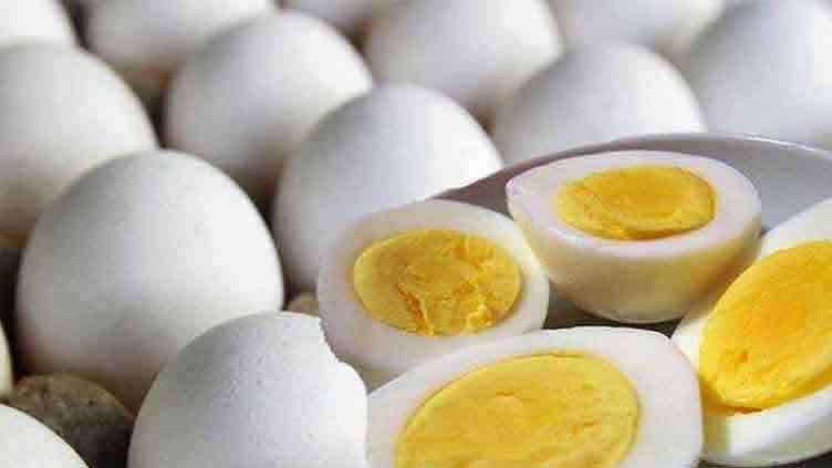 Balochistan government makes it mandatory to write best before date on eggs – WeirdNews