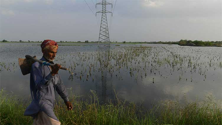 Punjab gives final shape to climate change policy