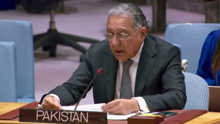 Pakistan's UN Envoy warns of the threat posed by Fitna Alkhawarji 