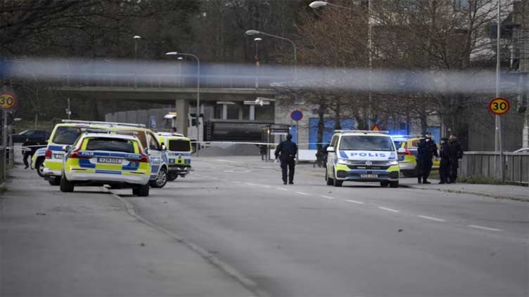 Denmark to pressure Sweden over gang violence