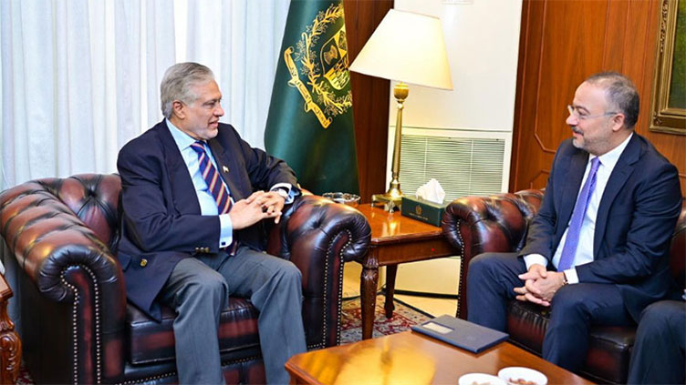 Deputy PM vows to further strengthen Pakistan, Turkiye ties