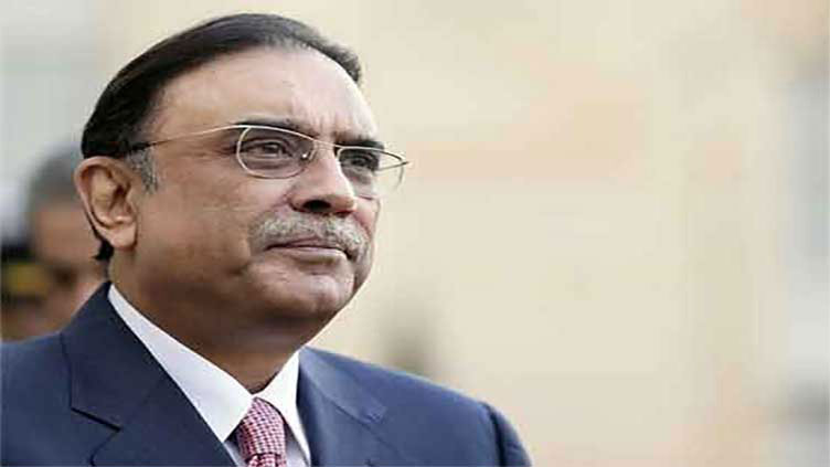 President Zardari stresses unity, stability on Independence Day