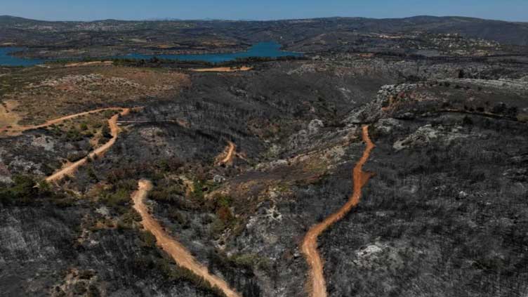 Faulty power cable may have caused Greece's worst wildfire this year