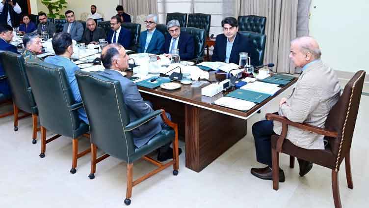 PM Shehbaz directs authorities to remain vigilant amid global mpox outbreak