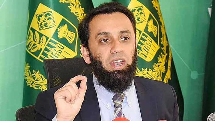 Other provinces can offer electricity bill relief: Tarar