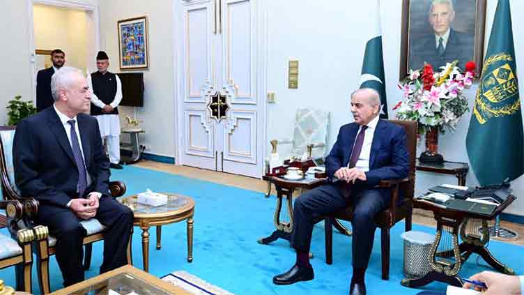 PM Shehbaz reiterates unwavering support for Palestinians