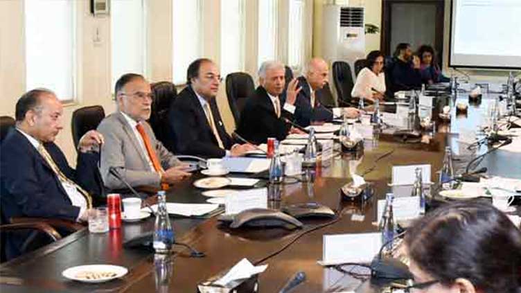 ECC approves Rs20b for Operation Azm-i-Istehkam