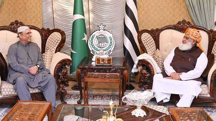 President Zardari calls on JUI chief Fazlur Rehman