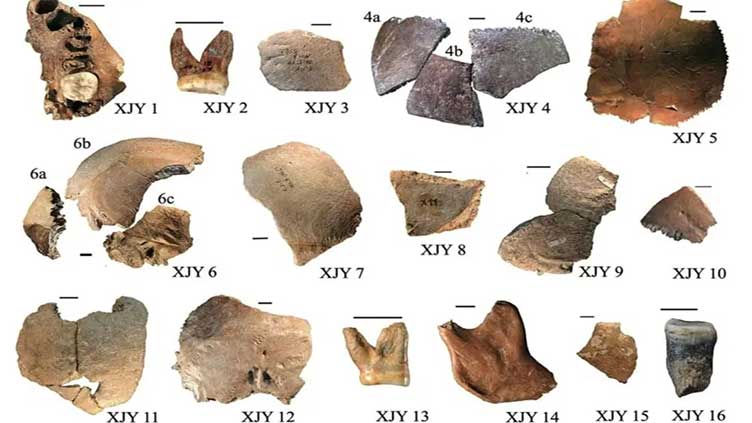 New species of human with bigger brains, huge heads discovered in China: scientists