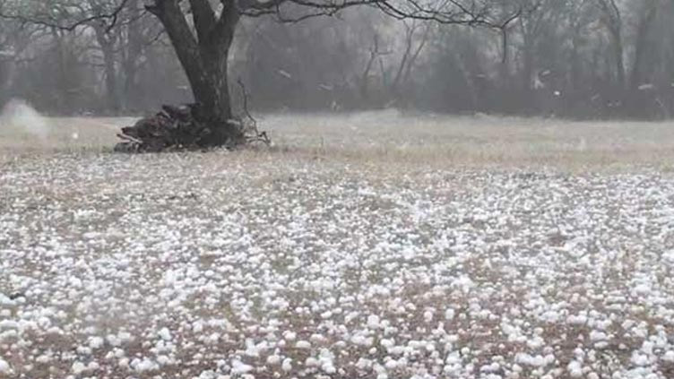 Hailstorm breaks 42-year record in Duki, Balochistan