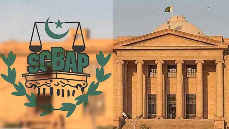 Sarfraz Metlo elected Sindh High Court Bar president  