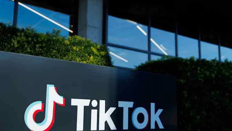 ByteDance, TikTok seek temporary halt to US ban pending Supreme Court review