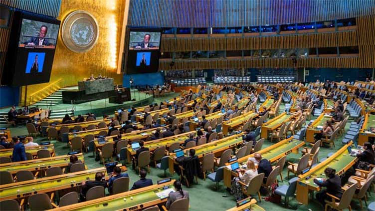 UNGA to vote on 'unconditional, permanent' Gaza ceasefire resolution