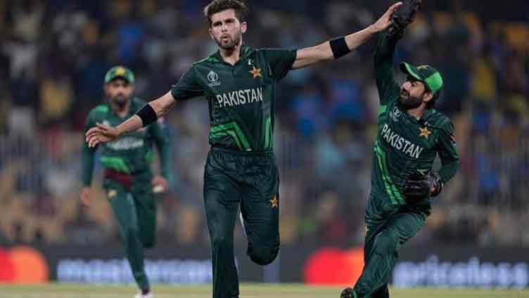 Rizwan, Shaheen improve in ICC T20I rankings