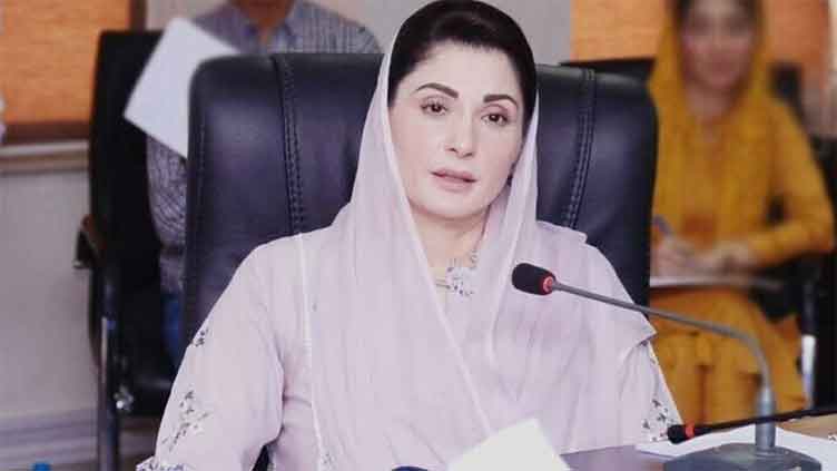 CM Maryam to establish joint working group with China to curb environmental pollution