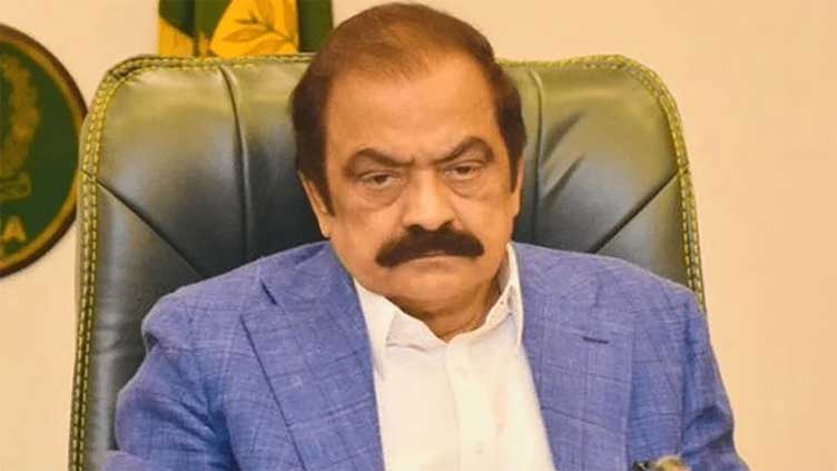 Govt will not reject PTI's offer for negotiations, says Sanaullah