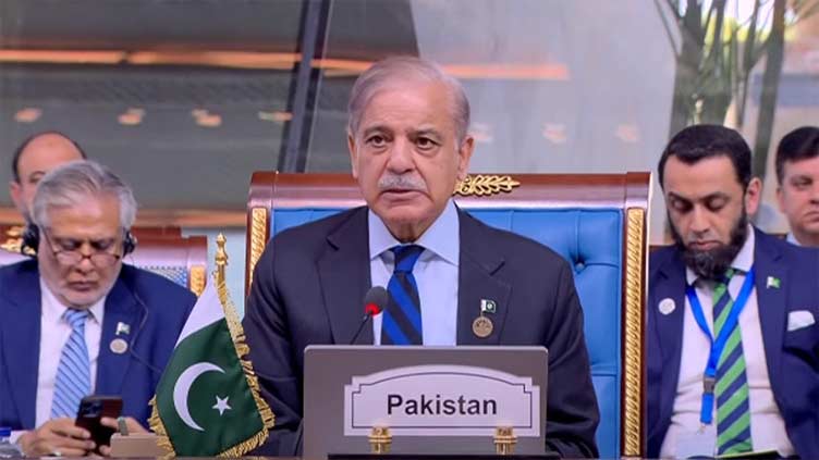 PM Shehbaz calls for investing in youth at D-8 summit