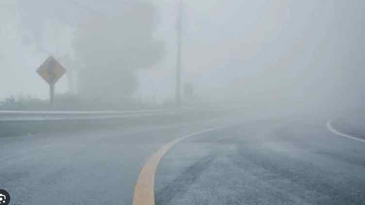 Sections of motorways closed due to dense fog