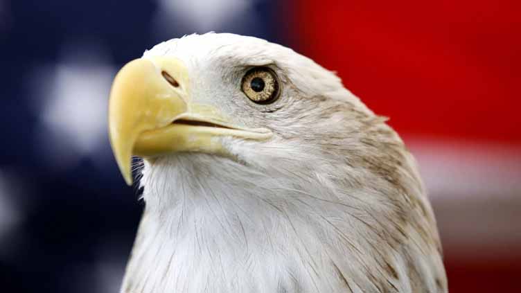 Biden signs a bill officially making the bald eagle the national bird of the US