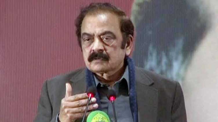 Rana Sanaullah stresses government's sincere desire for success of political dialogue