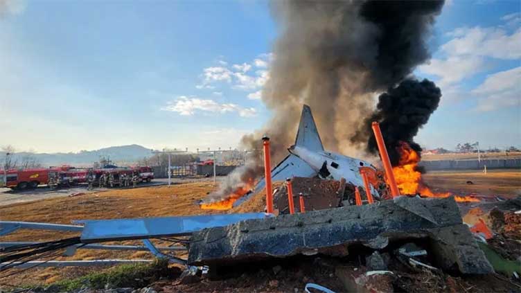 At least 28 dead in South Korea plane crash