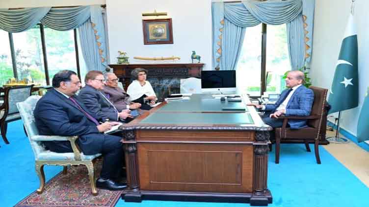 Pakistan's special envoy on Afghanistan calls on PM Shehbaz