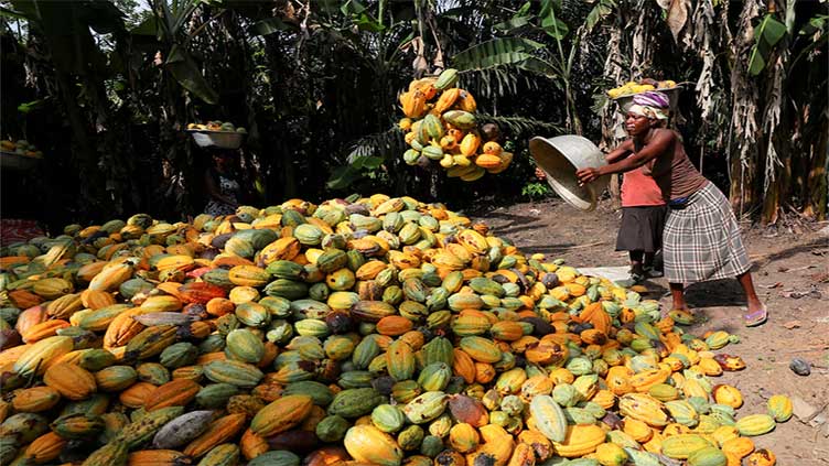 Cocoa tops global commodities rally for 2nd year, steel ingredients struggle on China demand