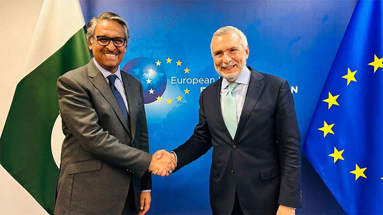 FM Jilani, EU official discuss global, regional developments