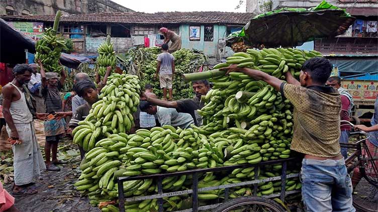 Russia buys bananas from India after Ecuador military hardware spat