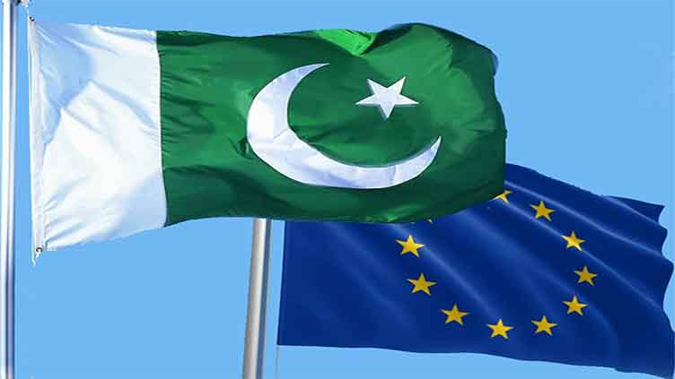 Pakistani authorities should investigate election irregularities: EU