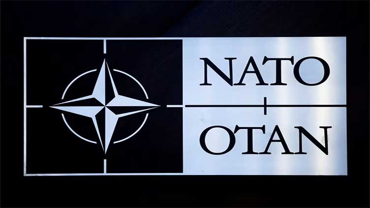 US senators to visit Hungary pushing Sweden's NATO bid