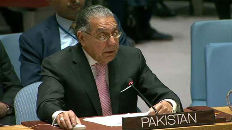Pakistan urges UN's top rights body to avoid 'double standards', address Kashmir situation