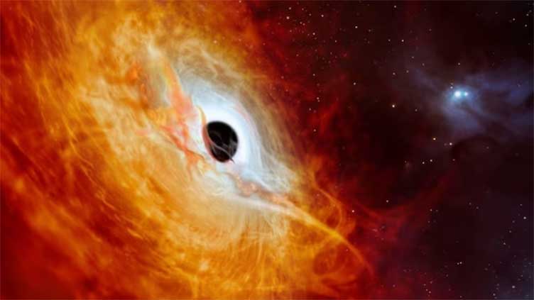 This black hole is so hungry it eats at least one sun every day