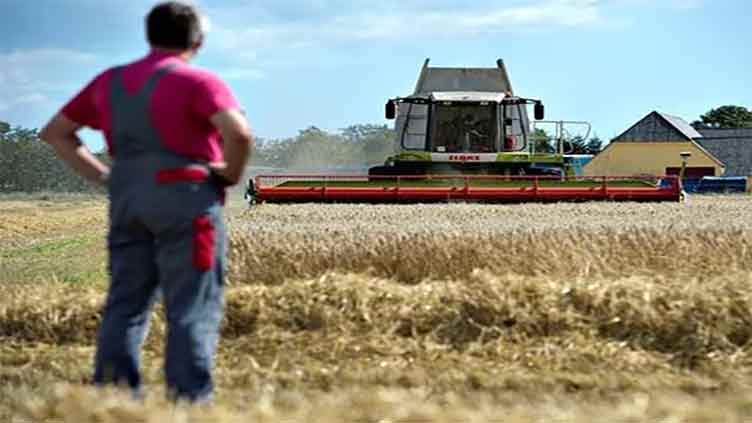 Danish farmers concerned carbon tax will lead to lower production