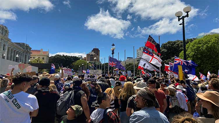 New Zealand to shut indigenous health authority amid Maori protests