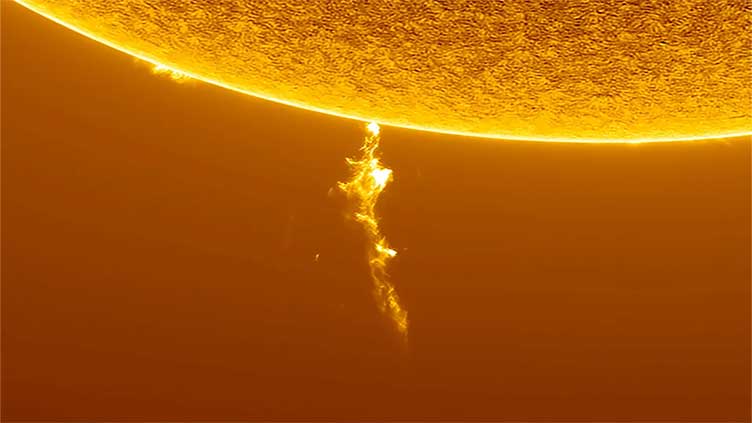 Pics show burning of 200,000-km high wall of Sun plasma