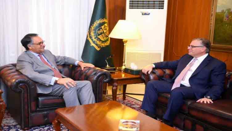 FM Jilani, US ambassador discuss bilateral relations  