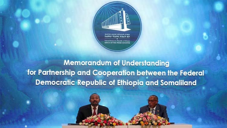 Somalia president signs law nullifying Ethiopia-Somaliland port deal