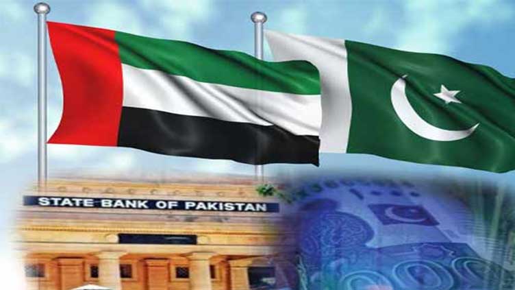 Pakistan seeks $2bn loan rollover from UAE