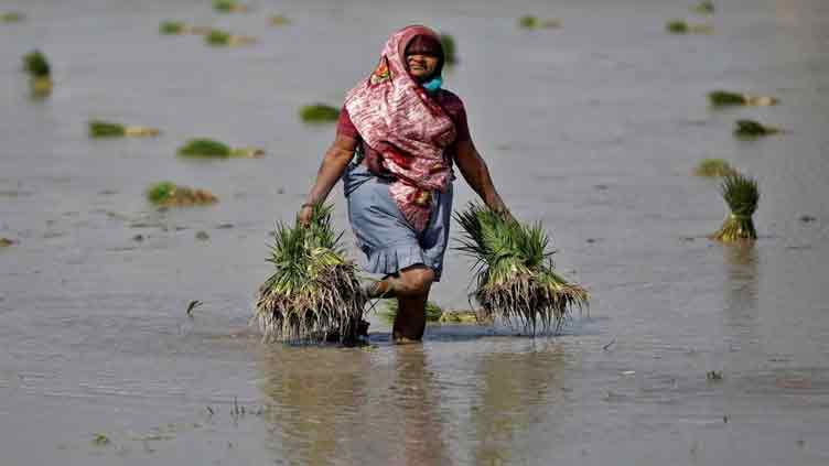 Modi plans doubling cash handout for women farmers ahead of vote