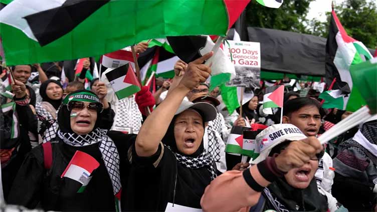 Pro-Palestine protests held worldwide as Gaza war enters 100th day