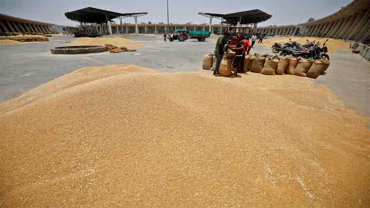 India has no plans for wheat imports for now, expects record production